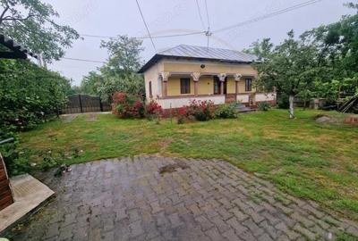 Casă cu Teren 2100 Mp în Lunca - 7