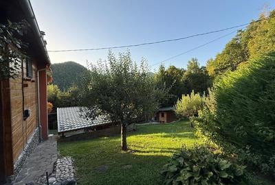 Cabana - Casa de vacanta situata in Muntele Rece! - 4