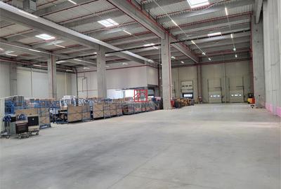 Depozit/hala/spatiu industrial Mogosoaia - Centura, Ilfov - 2
