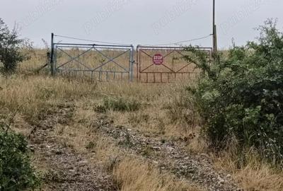 Teren de 76200 mp, în Lugoj - 7