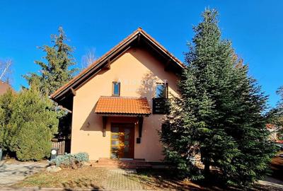 Vanzari Case / vile ILFOV - NORD OSTRATU - 3