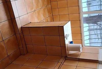 Garsoniera 33 Campia Liberta?ii | Metrou Piata mu... - 2