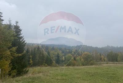 Teren Construcții intravilan de 8119 mp, în Călățele - 15