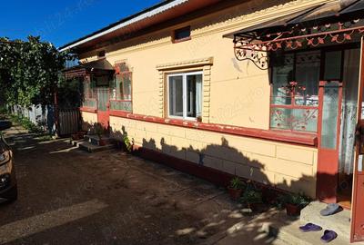 Casă cu 5 camere cu Teren 2272 Mp în Costești - 1