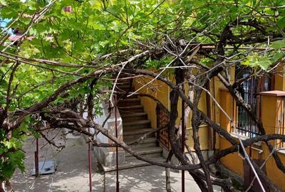 Vand casa Pitesti FRATII GOLESTI - 3