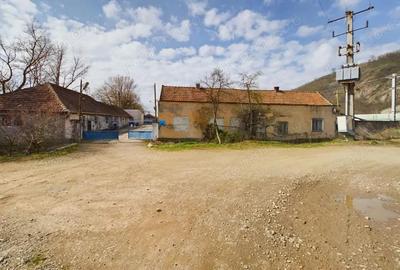 Spațiu comercial, de 1,280 mp, în Șoimoș - 10