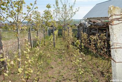 Casă cu 10 camere cu Teren 1278 Mp în Horpaz - 7