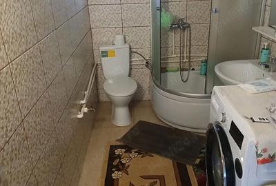 Casă cu 4 camere cu Teren 6000 Mp în Havârna - 9