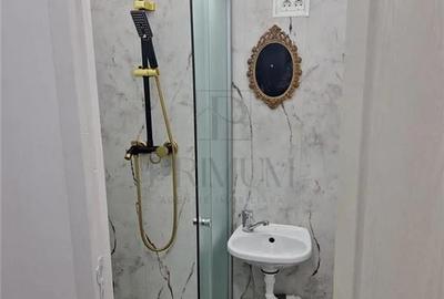 Apartament 1 camera-Centrala-Elisabetin-Curte Apartament 1 camera-Centrala-Elisabetin-Curte - 6