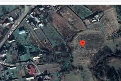 Teren intravilan cota parte 1/4 Tarpesti, ID: R2327012 - 2