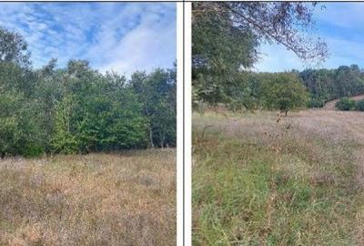 Teren de 2000 mp, în Filipeni - 2