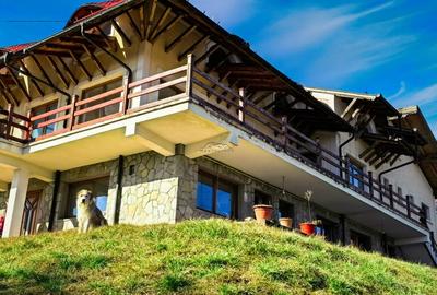 Casă individuală cu 8 camere cu Canalizare în Vest - 26