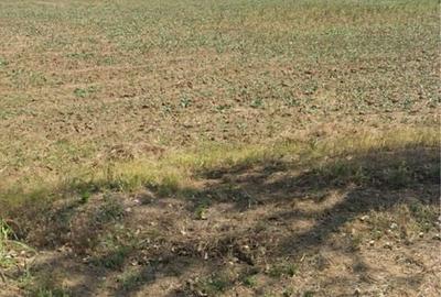 Spațiu comercial, în Găneasa - 3