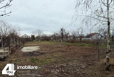 Casă cu Teren 1422 Mp în Cicir - 1