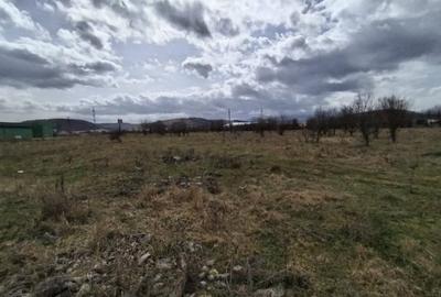 Teren de vanzare, 1.3HA., utilitati, acces din DN - 4