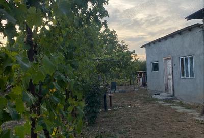 Casă cu 5 camere în Robănești - 7