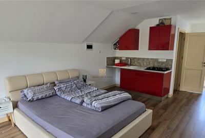 Casa de Vacanta la Munte - Dorna Arini! Vatra Dornei!! De ! - 16