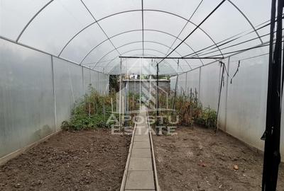 Casa individuala teren 571mp zona Sagului - 10