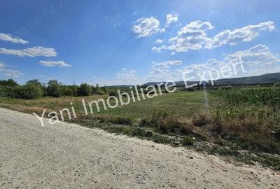 Teren de 8229 mp, în Băiculești - 5