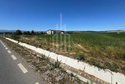 🌿 Teren 10.000 mp, Șura Mică – Ocna Sibiului | Investiție, COMISION 0% - 6