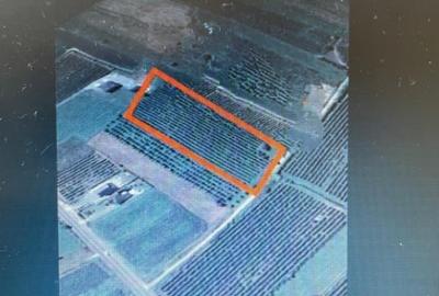 Teren de 8500 mp, în Central