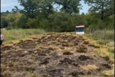 Spațiu comercial, în Padeș - 2