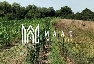 Vand teren intravilan | 1.638 mp | Bungard - 3