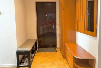 Apartament spatios de vanzare in zona turistica - Sinteu, Bihor - 26