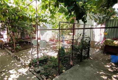 Casa de vacanta, Cazasu cu suprafata generoasa teren 824mp - 7