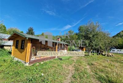 Teren cu constructii Cosmina de Sus - Foisor, baie, cabanuta - 3