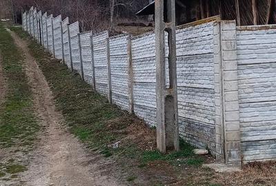 Teren de 4650 mp, în Vârvor - 8
