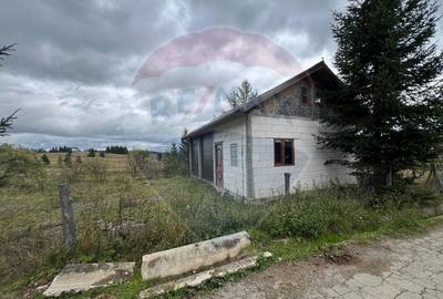 Teren 3,548mp, intravilan, Balcesti (Belis) - 5