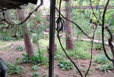 Casă cu 3 camere în Glodeanu-Siliștea - 9