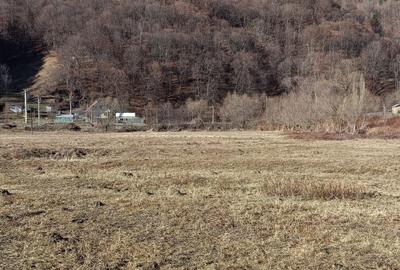 Spațiu comercial, în Pintic - 2