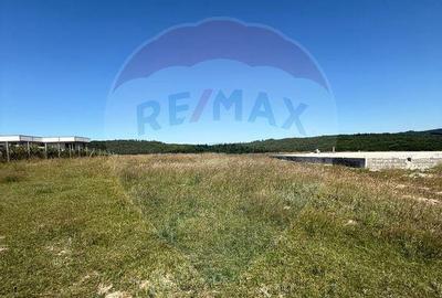 Teren 3,757mp Paltinoasa / Strada principala - 5