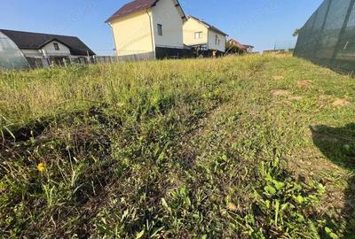 Teren intravilan 1493 mp Pitesti-Strada Pinilor, zona exclusivista - 3