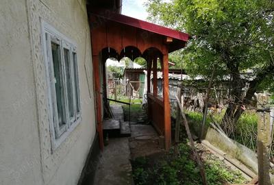 Casa batraneasca cu anexe si teren Loturi Enescu Dorohoi - 6