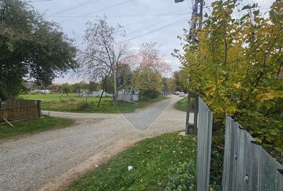 Casuta de la tara - 29