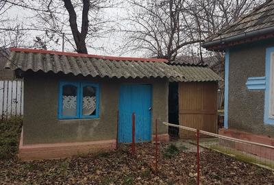 Casă cu 4 camere cu Teren 1680 Mp în Buhăiești - 4