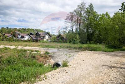 Teren de vanzare cu potential turistic-Predelut, com.Bran, jud.Brasov - 6
