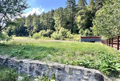 Teren Construcții intravilan de 4000 mp, în Brădet - 15