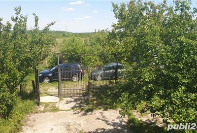 Teren de 11860 mp, în Călugăreni - 1