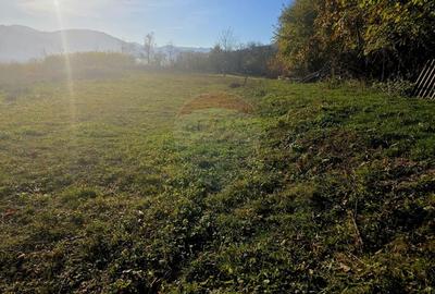 Teren 6,874mp Alexandru cel Bun / Strada plopusor - 11