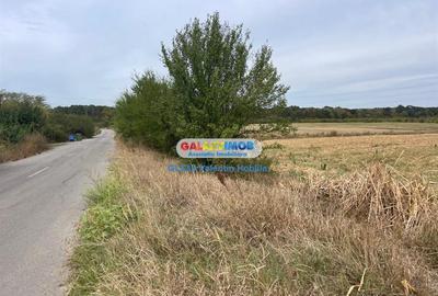 Teren intravilan de 3300 mp, în Periș - 4