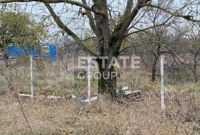 Teren de 3296 mp, în Bucovăț (Remetea Mare) - 1