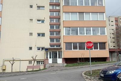 Apartament cu 2 camere decomandat în Spicului - 5
