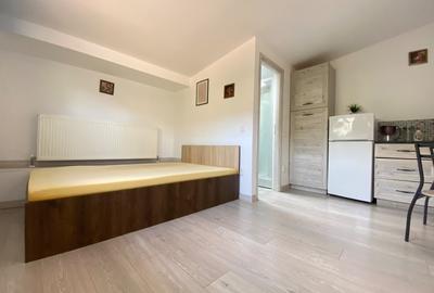 Garsonieră decomandată, mobilată în Podu Roș - 4