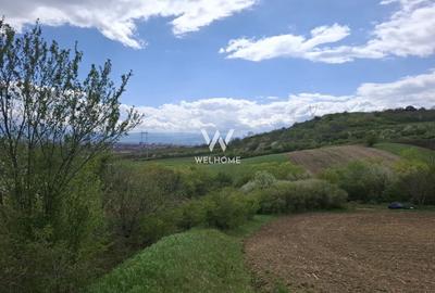 Teren agricol extravilan de 18175 mp, în Gușterița - 2