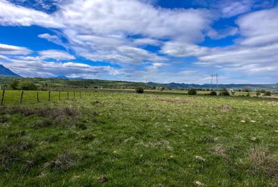 Teren Bran Zarnesti 3 km Castelul Bran 25 km Brasov Teren Bran Zarnesti 3 km Castelul Bran 25 km Brasov - 9