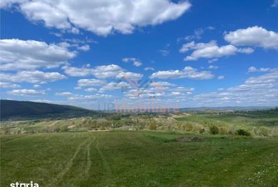 Teren de 6301 mp, în Șuncuiuș - 1